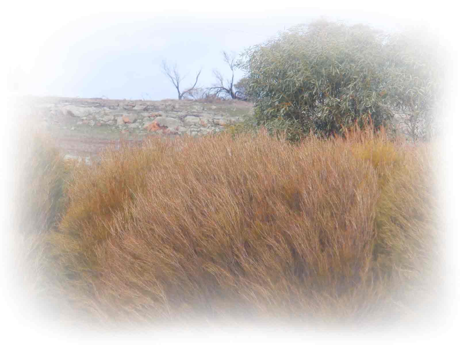 grounds-scenery-granite-rocks